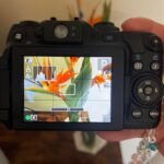 Canon PowerShot G12 - Image 2