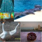 Used Digital Camera | Kodak EasyShare M320 Digital Camera | Complete Set - Image 7