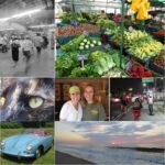 Used Digital Camera | Canon Powershot ELPH 300 HS Digital Camera 🍒 | Complete Set - Image 6