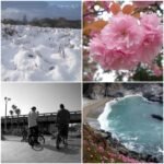 Used Digital Camera | Nikon Coolpix S550 Digital Camera | Complete Set - Image 7