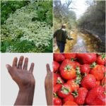 Used Digital Camera | Sony CyberShot H90 Digital Camera | Complete Set - Image 6