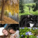 Used Digital Camera | Canon Powershot A2200 Digital Camera | Complete Set - Image 6